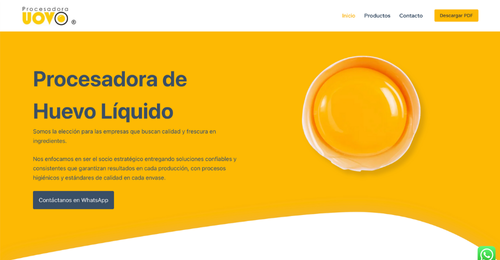 diseño de páginas web Queretaro